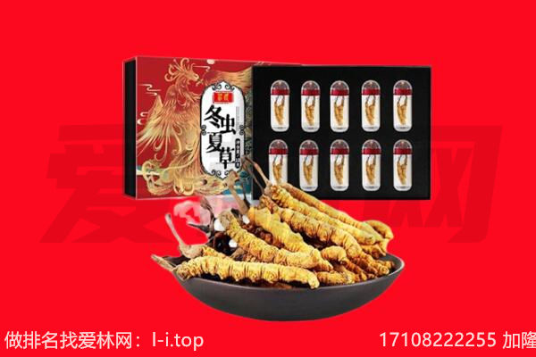 开封兰考县回收虫草.jpg
